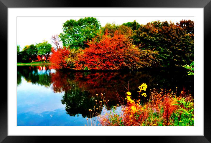 autumn Framed Mounted Print by sue davies