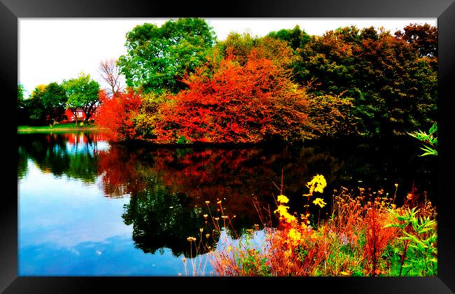 autumn Framed Print by sue davies