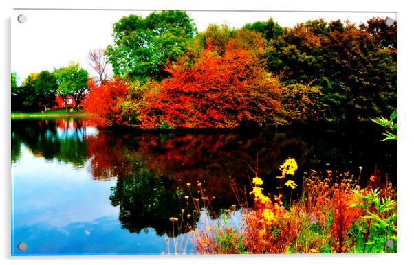 autumn Acrylic by sue davies