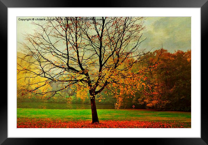  The Autumn Tree Hampstead  London  Framed Mounted Print by Heaven's Gift xxx68