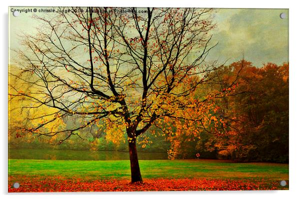  The Autumn Tree Hampstead  London  Acrylic by Heaven's Gift xxx68