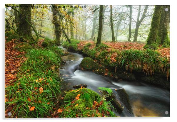 Autumn at Golitha Falls Acrylic by Helen Hotson