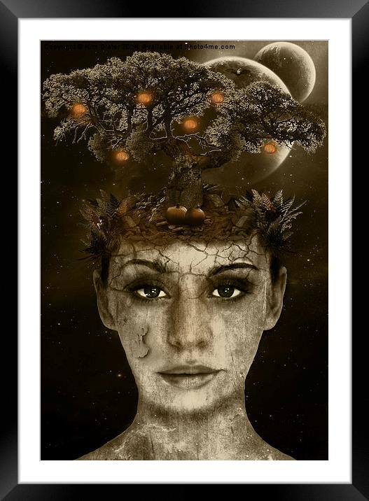Pumpkin Tree Framed Mounted Print by Kim Slater