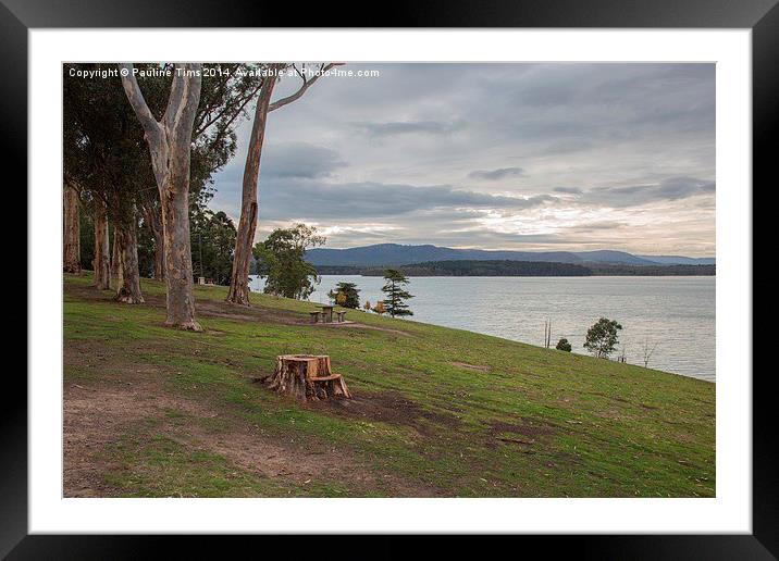 Yan Yean Reservoir Park, Victoria , Australia Framed Mounted Print by Pauline Tims