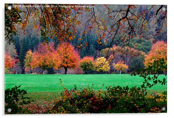  Autumn in Kenmore  Acrylic by yvonne & paul carroll