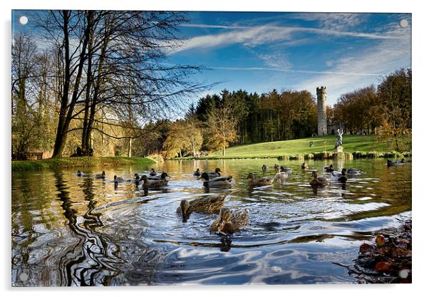  Quackers Acrylic by Dave Hudspeth Landscape Photography