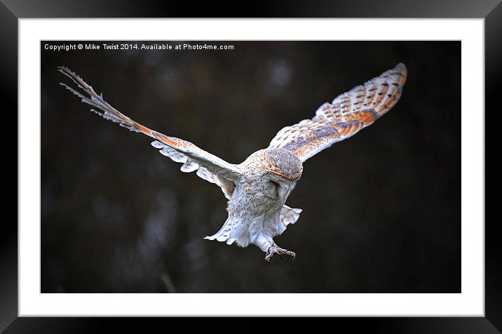  Barn Owl - Eye Spy Framed Mounted Print by Mike Twist