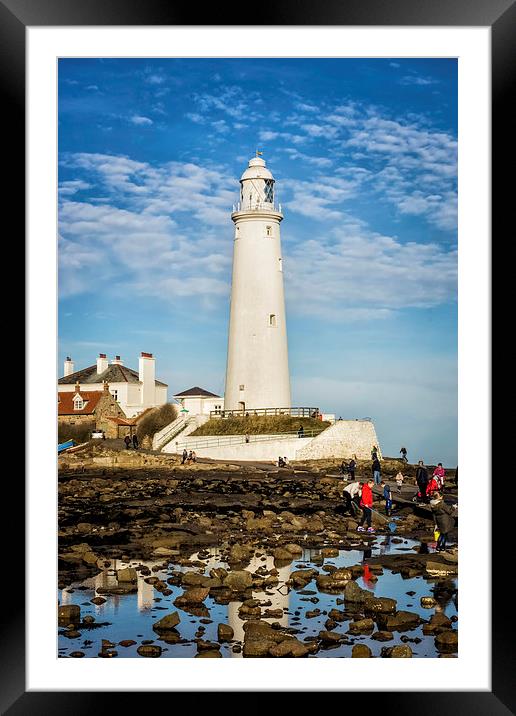 St Marys Lighthouse October Sunshine Framed Mounted Print by Tanya Hall