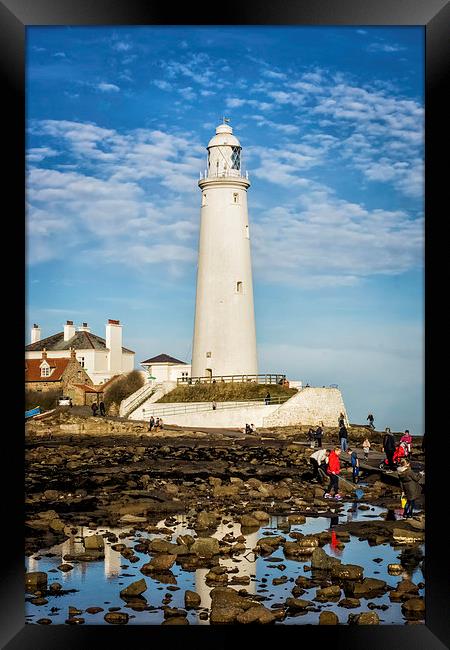 St Marys Lighthouse October Sunshine Framed Print by Tanya Hall
