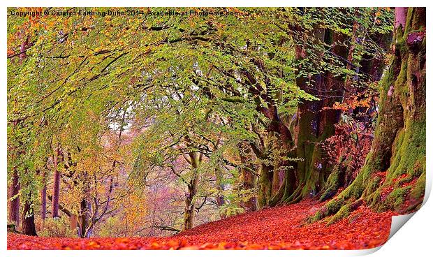  A walk in Autumn Woods Print by Carolyn Farthing-Dunn