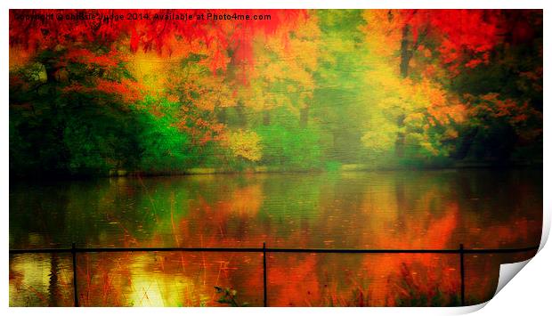  Autumn Beauty    pond In Hampstead-heath london u Print by Heaven's Gift xxx68