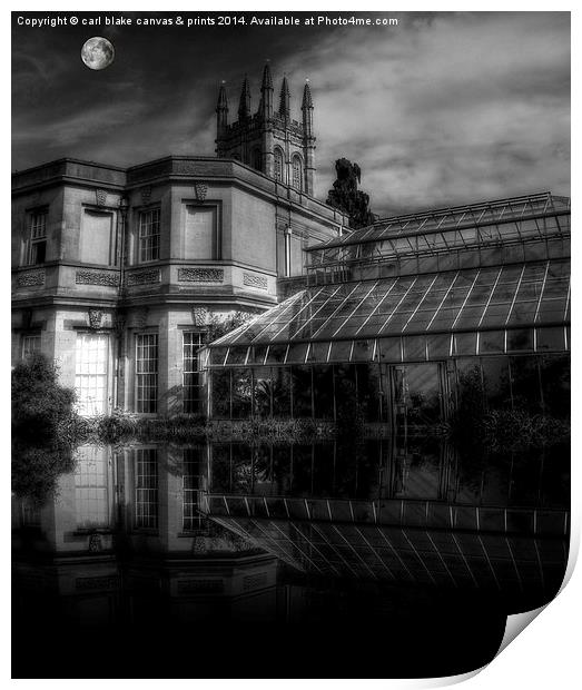  dark reflection Print by carl blake