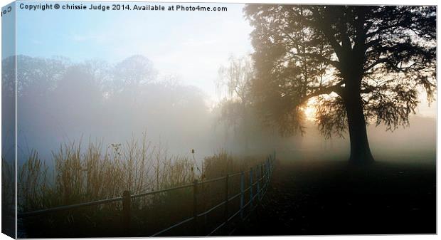  misty morning sunrise over pond  in Hampstead - h Canvas Print by Heaven's Gift xxx68
