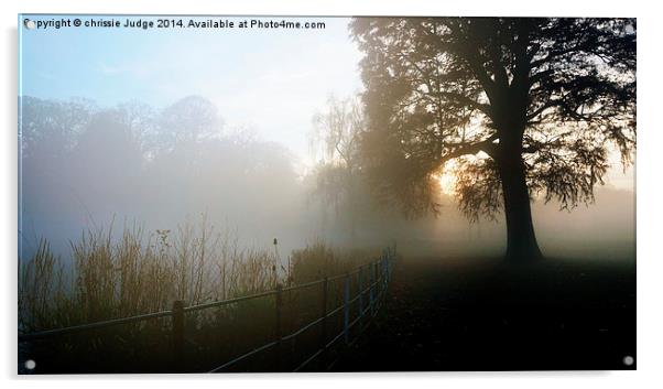  misty morning sunrise over pond  in Hampstead - h Acrylic by Heaven's Gift xxx68