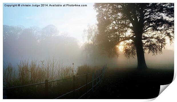  misty morning sunrise over pond  in Hampstead - h Print by Heaven's Gift xxx68