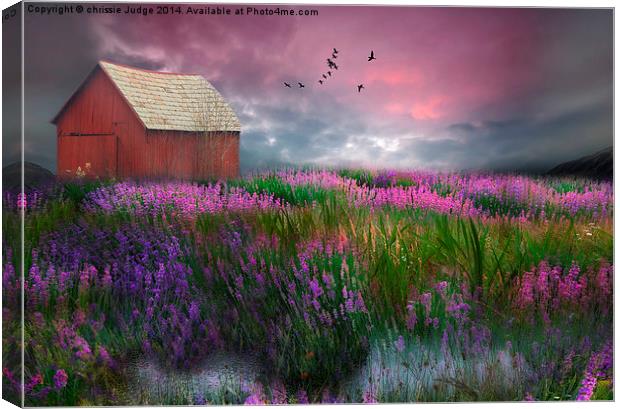  The little red barn  Canvas Print by Heaven's Gift xxx68