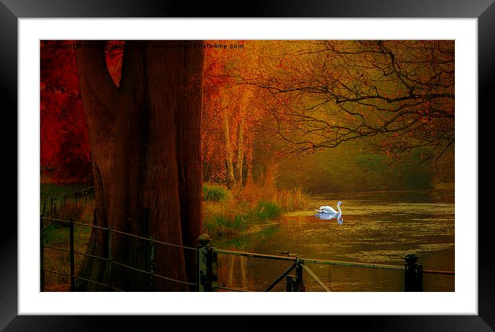  Autumn the season of colour  Hampstead-heath Lond Framed Mounted Print by Heaven's Gift xxx68