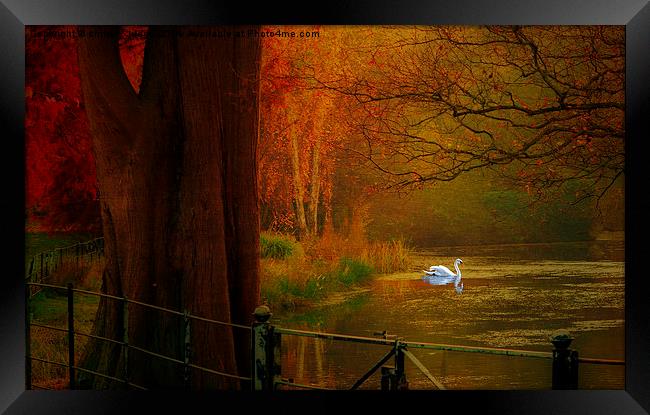  Autumn the season of colour  Hampstead-heath Lond Framed Print by Heaven's Gift xxx68