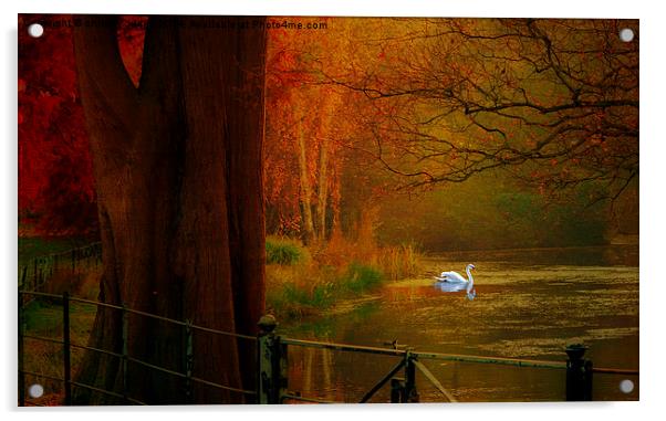  Autumn the season of colour  Hampstead-heath Lond Acrylic by Heaven's Gift xxx68