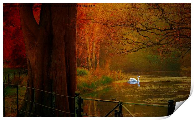  Autumn the season of colour  Hampstead-heath Lond Print by Heaven's Gift xxx68