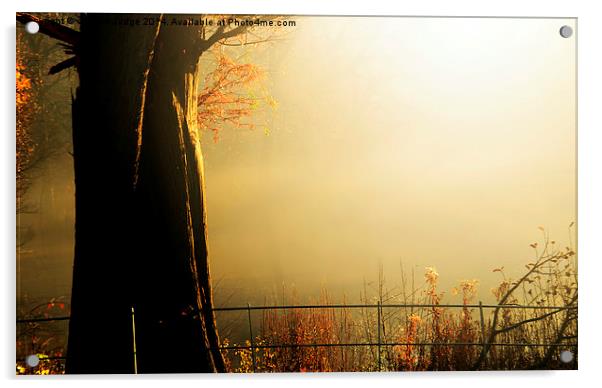  The golden light Hampstead heath  Acrylic by Heaven's Gift xxx68
