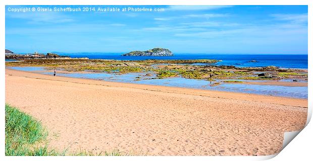  Summer on the Firth of Forth Print by Gisela Scheffbuch