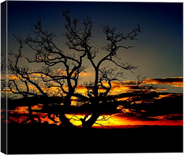  day's end   Canvas Print by dale rys (LP)