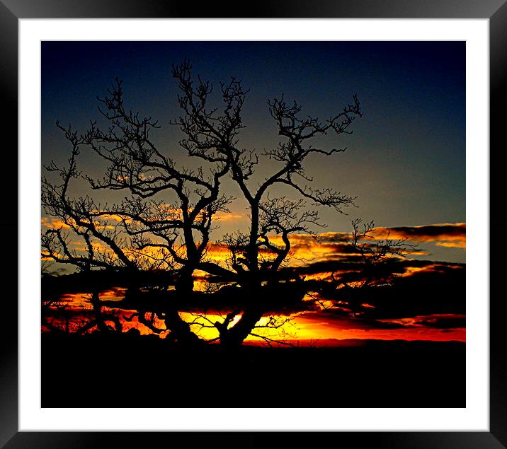  day's end   Framed Mounted Print by dale rys (LP)