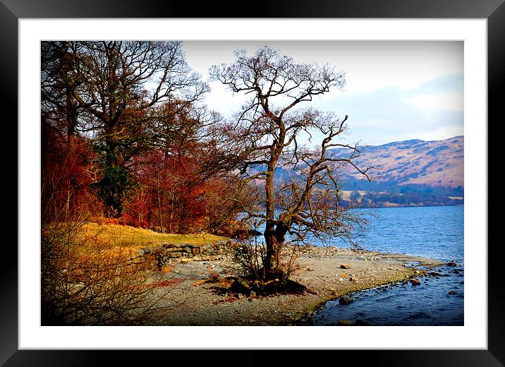  beautiful lakes Framed Mounted Print by sue davies