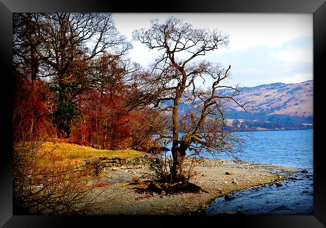  beautiful lakes Framed Print by sue davies