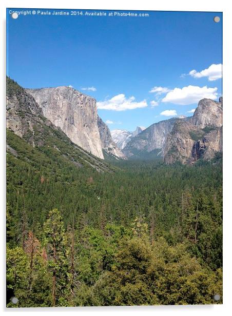  Yosemite National Park - California Acrylic by Paula Jardine