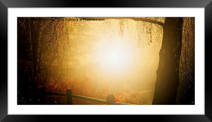  The day everything glittered with gold   Autumn H Framed Mounted Print by Heaven's Gift xxx68