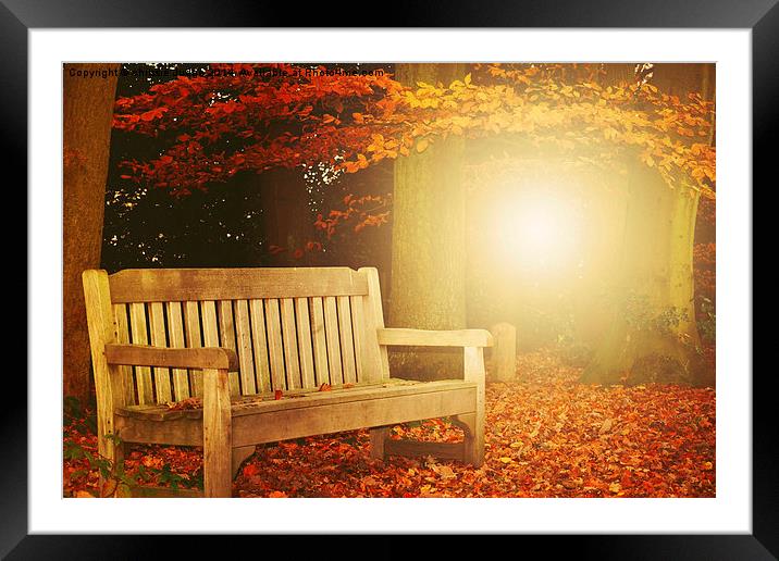  The Autumn Bench Hampstead.Hampstead Heath uk  Framed Mounted Print by Heaven's Gift xxx68