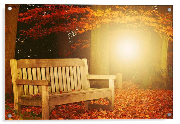  The Autumn Bench Hampstead.Hampstead Heath uk  Acrylic by Heaven's Gift xxx68