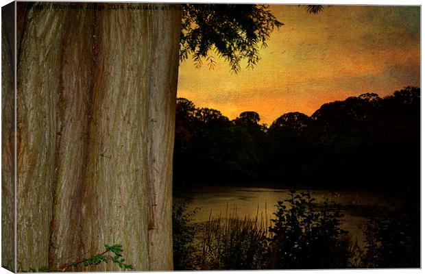  Autumn  sunset  Hampstead heath  Canvas Print by Heaven's Gift xxx68