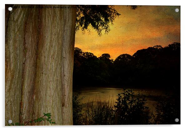  Autumn  sunset  Hampstead heath  Acrylic by Heaven's Gift xxx68