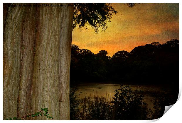  Autumn  sunset  Hampstead heath  Print by Heaven's Gift xxx68