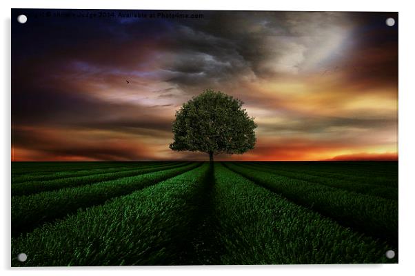  The Green tree Acrylic by Heaven's Gift xxx68