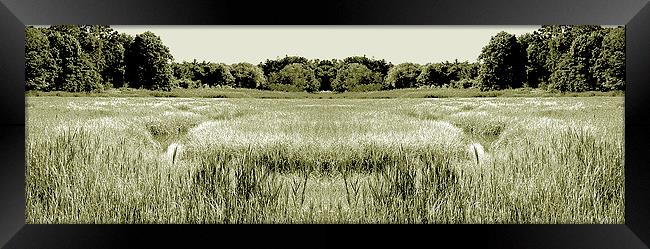  Swamp Panorama Duo Tone Framed Print by james balzano, jr.