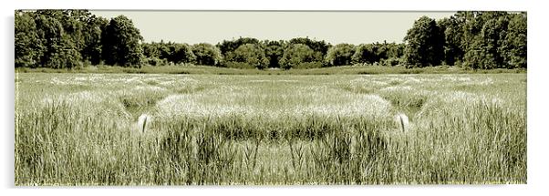  Swamp Panorama Duo Tone Acrylic by james balzano, jr.