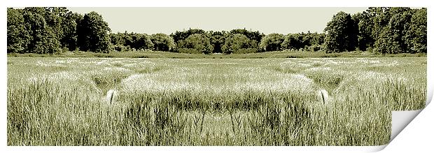  Swamp Panorama Duo Tone Print by james balzano, jr.