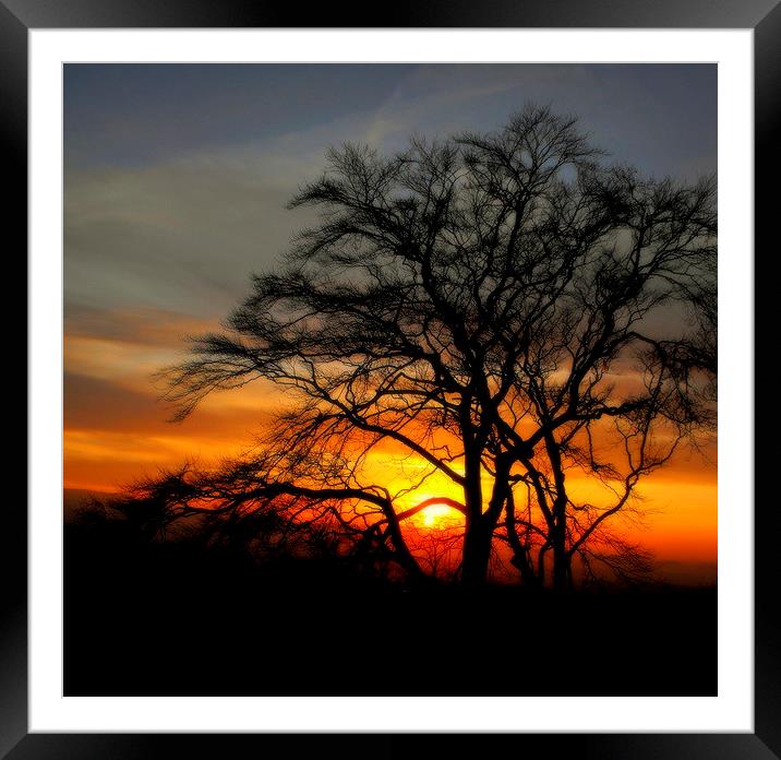  day's end    Framed Mounted Print by dale rys (LP)