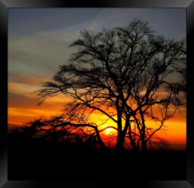  day's end    Framed Print by dale rys (LP)