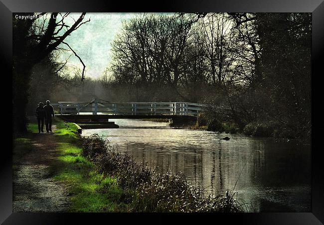  Late Afternoon By The Kennet Framed Print by Ian Lewis