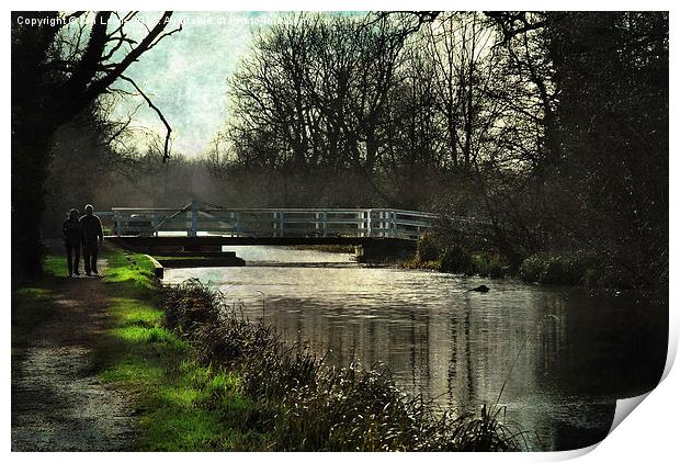  Late Afternoon By The Kennet Print by Ian Lewis