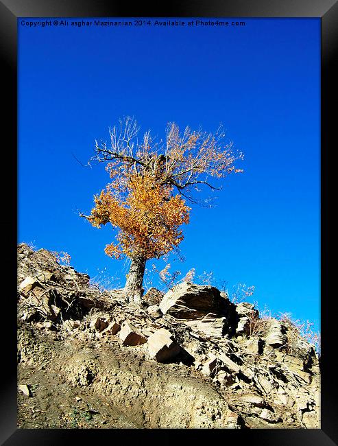  Alone 2 Framed Print by Ali asghar Mazinanian