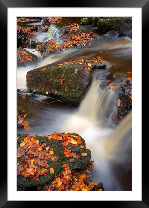 On the Rocks in Padley Gorge  Framed Mounted Print by Darren Galpin