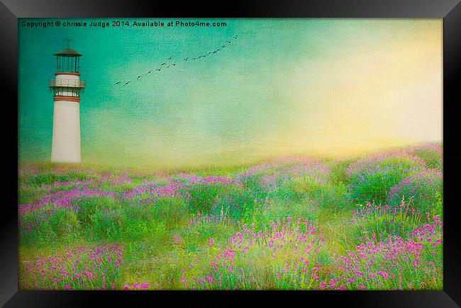  The Little Lighthouse  Framed Print by Heaven's Gift xxx68