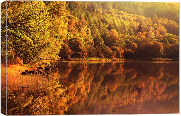  Fall Reflections. Loch Achray. Scotland  Canvas Print by Jenny Rainbow
