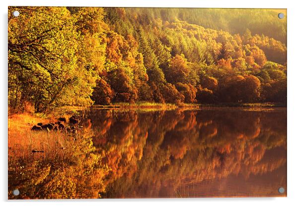  Fall Reflections. Loch Achray. Scotland  Acrylic by Jenny Rainbow